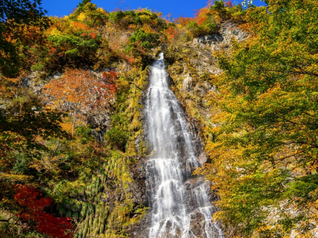 兵庫県で「秋に行きたい滝」ランキング！ 2位「天滝」を抑えた1位は？【2025年調査】 - All About ニュース