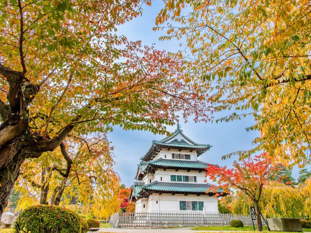 青森県で「ふるさと納税の返礼品が魅力的」と思う市ランキング！ 2位「弘前市」を抑えた1位は？【2025年調査】 - All About ニュース