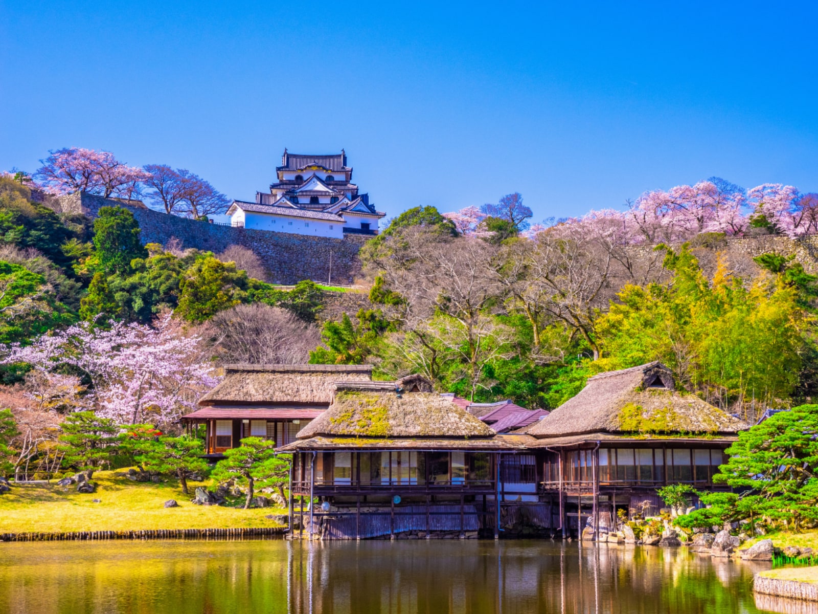 「名前がかっこいい」と思う滋賀県の市ランキング