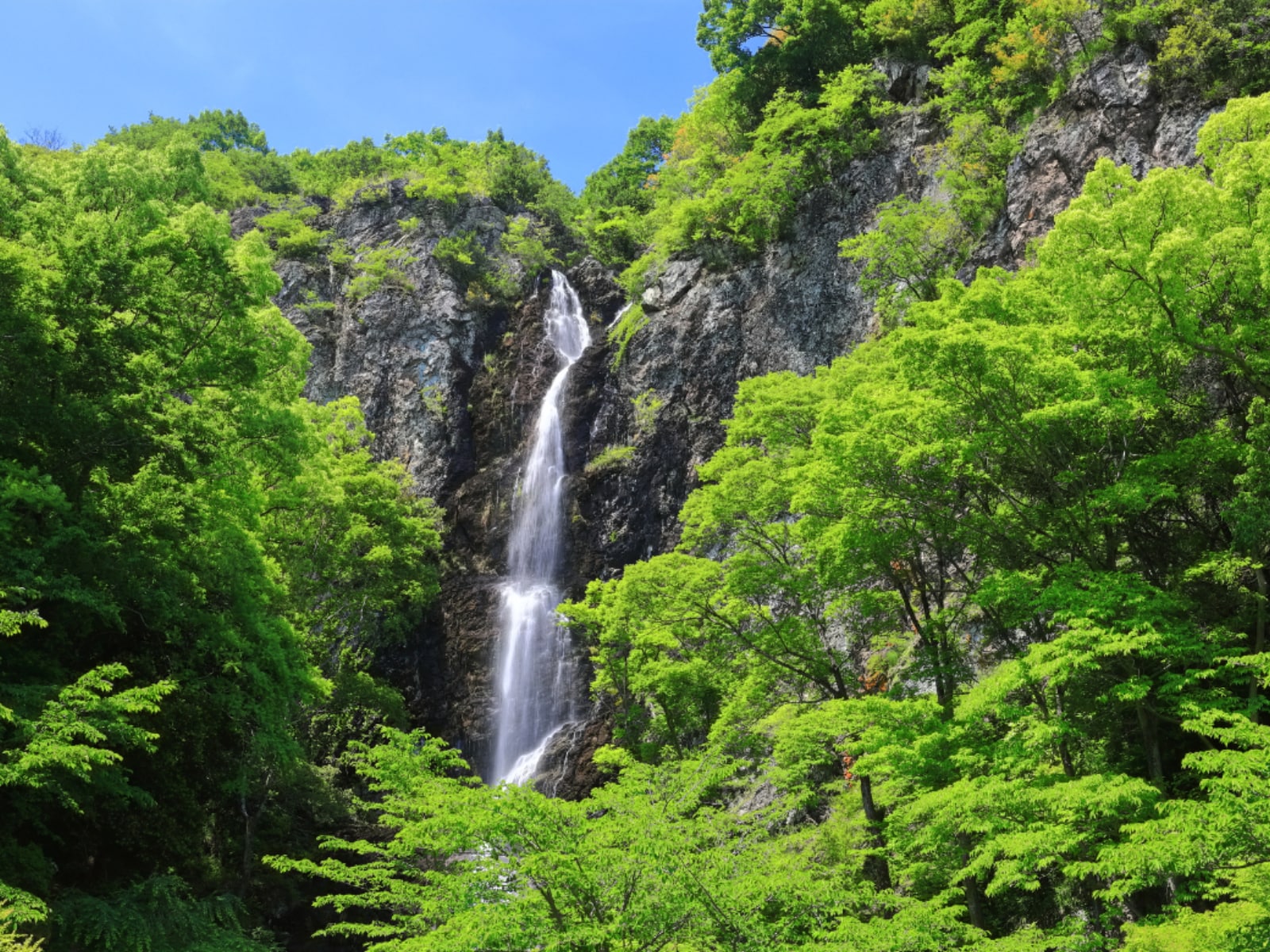 秋に行きたい「香川県の滝」ランキング