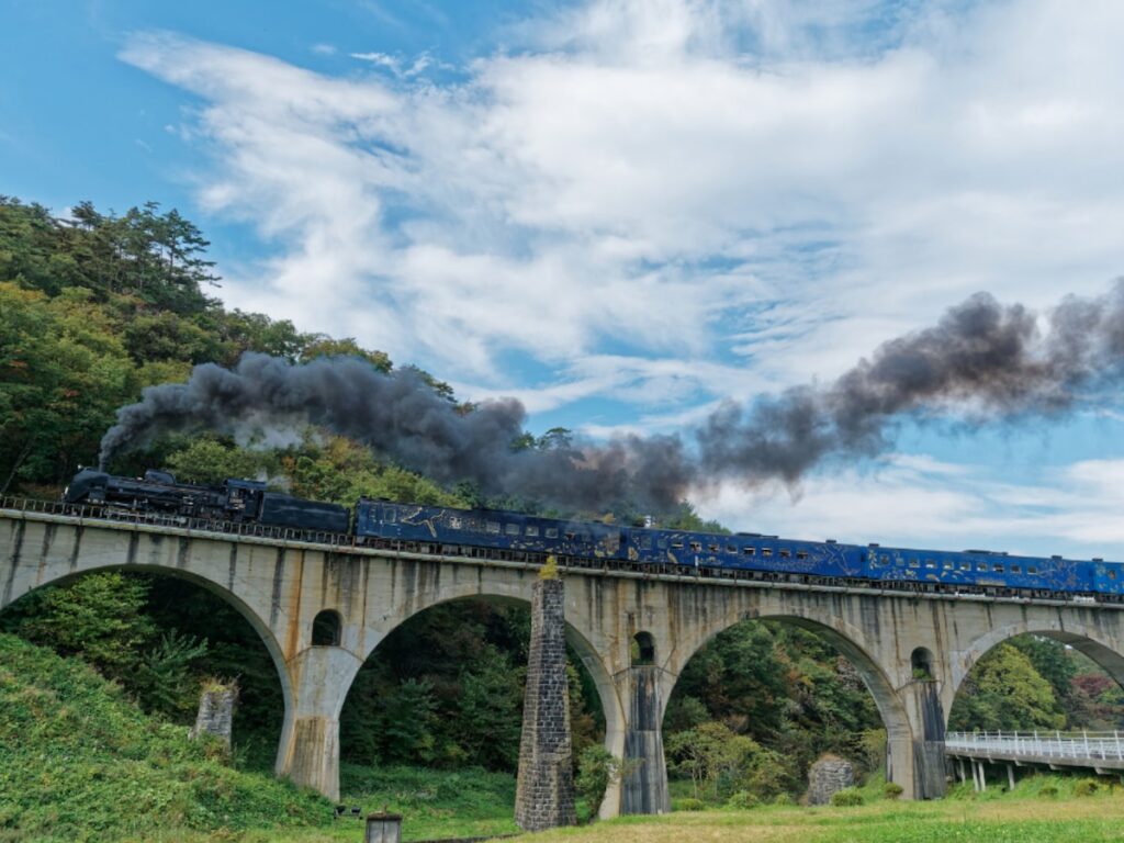岩手県の「憧れのナンバープレート」ランキング! 3位「岩手」を抑えた同率1位は? 【2025年調査】 – All About ニュース 岩手県の「憧れのナンバープレート」ランキング! 3位「岩手」を抑えた同率1位は? 【2025年調査】 - All About ニュース