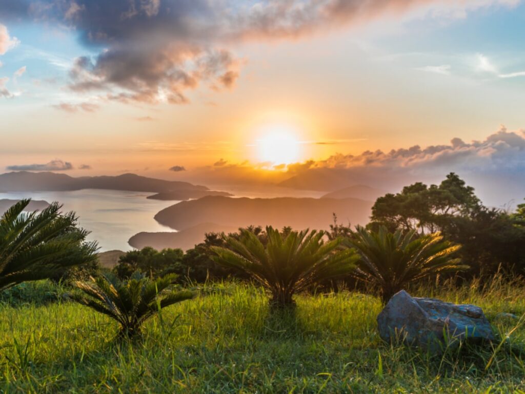 ナンバープレートでかっこいいと思う九州地方の地名ランキング！ 2位「奄美（鹿児島県）」、1位は？ 【2025年調査】 - All About ニュース