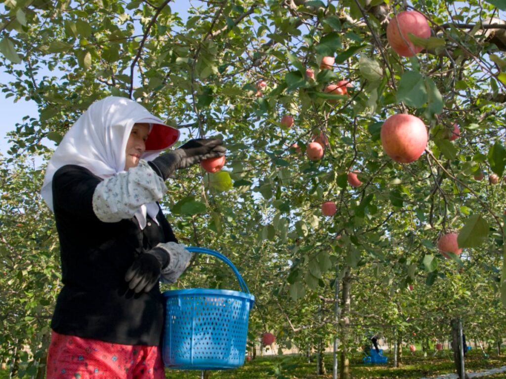 「方言がユニーク・おもしろいと思う都道府県」ランキング! 2位「青森県」を抑えた1位は? 【2025年調査】 – All About ニュース 「方言がユニーク・おもしろいと思う都道府県」ランキング! 2位「青森県」を抑えた1位は? 【2025年調査】 - All About ニュース