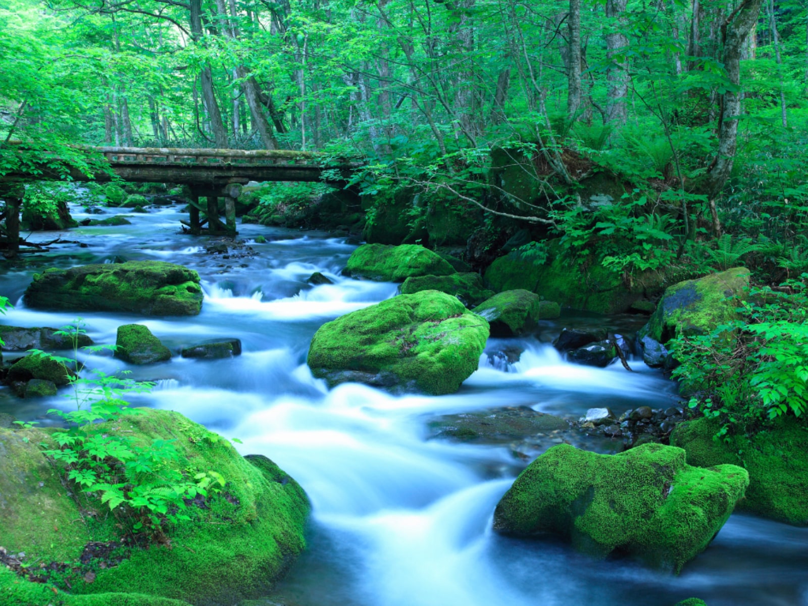 子連れで行きたいと思う「青森県の道の駅」ランキングの画像