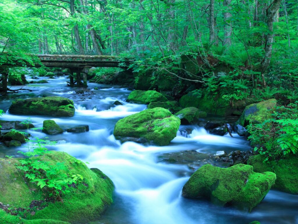 子連れで行きたいと思う「青森県の道の駅」ランキング！ 2位「奥入瀬」を抑えた1位は？ 【2025年調査】 - All About ニュース