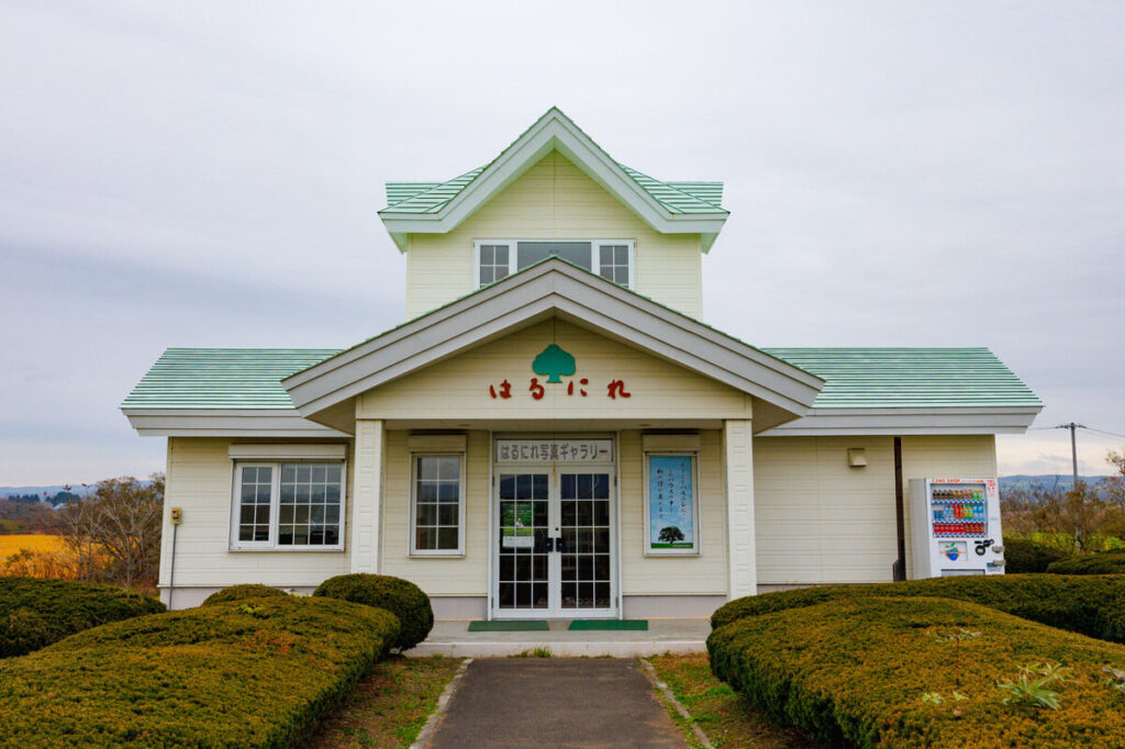 SODANE - 北海道十勝豊頃町の”ハルニレの木”今年の写真展は終了 「はるにれノート」綴られた訪問してくれた多くの人々の思い