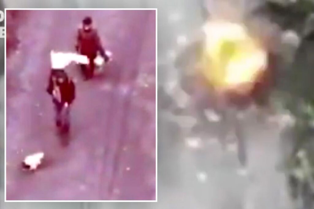 ロシア、恐ろしいドローン攻撃でウクライナ高齢者と白旗を掲げた犬を虐殺
