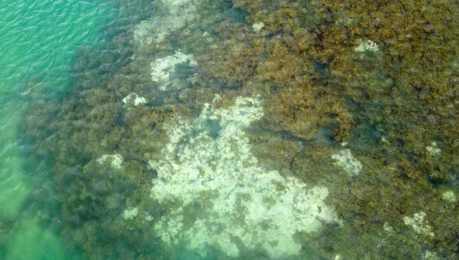 私たちは気候変動の最初の転換点を超えました