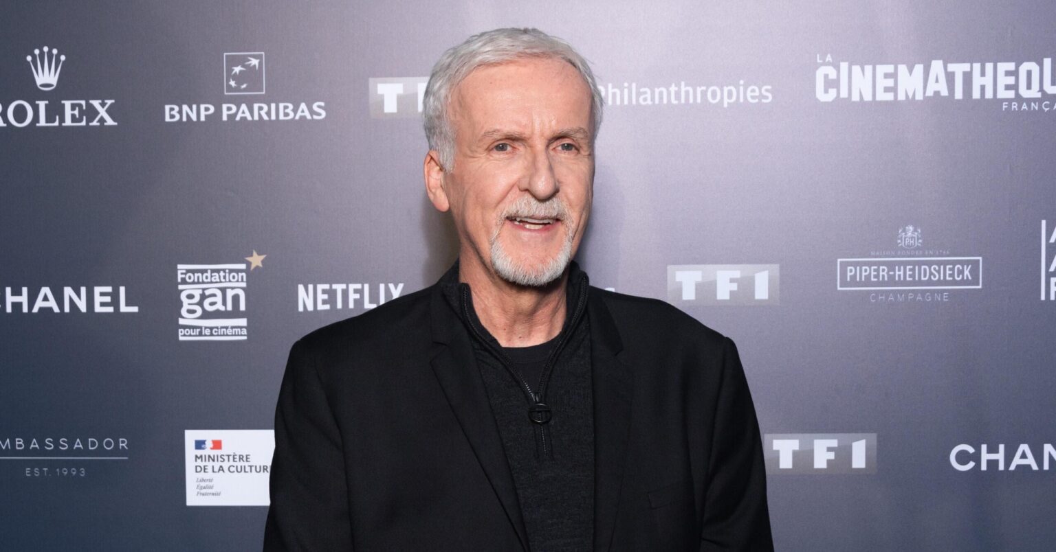 ジェームズ・キャメロン監督は、Netflix映画は、1ヶ月間に2,000の映画館で有意義な劇場公開を約束しない限り、オスカー賞の対象となるべきではないと述べ、「映画は劇場用の映画として作られるべきであり、劇場用の映画として意味がなければ、アカデミー賞は私にとって何の意味もありません」と述べた。