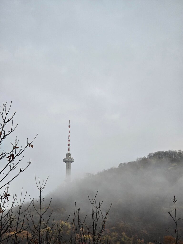これらの写真についての正直な意見は?