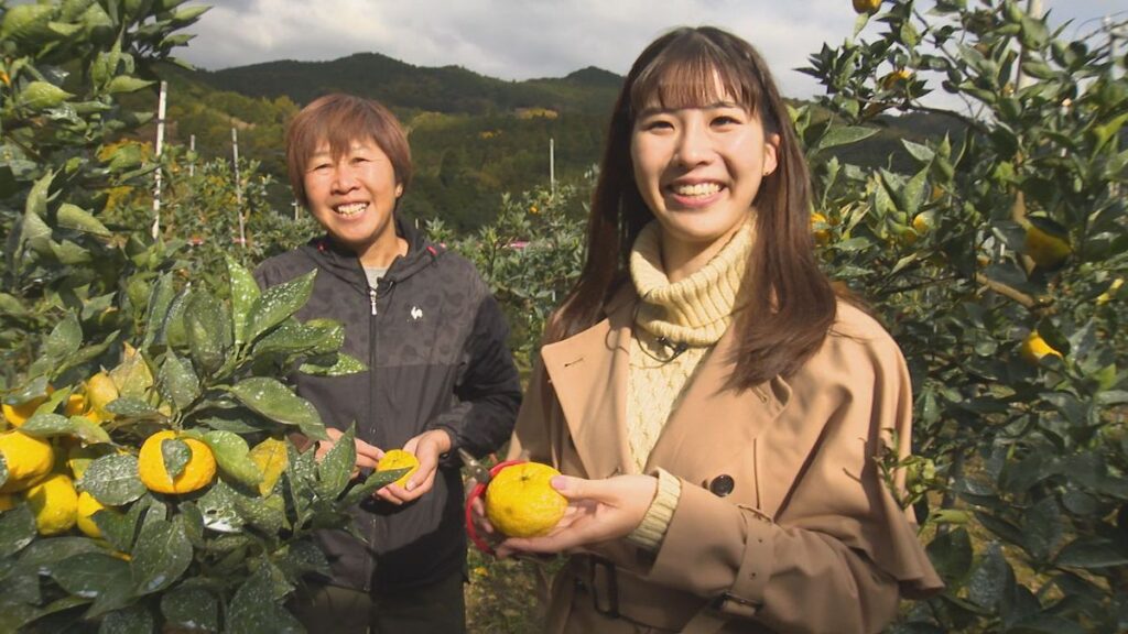 スダチとユズのいいとこどり 「阿波すず香」いただきます!【徳島】(2025年11月28日掲載)|JRT NEWS NNN 共有