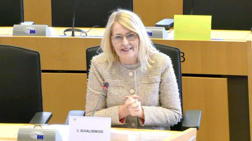 欧州議会はインターネット上の未成年者の保護に関する決議を採択したばかりです
