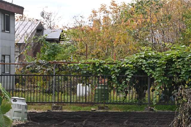 農作業中の８０代男性、クマに襲われけが 仙北市田沢湖卒田の畑 - 秋田魁新報電子版