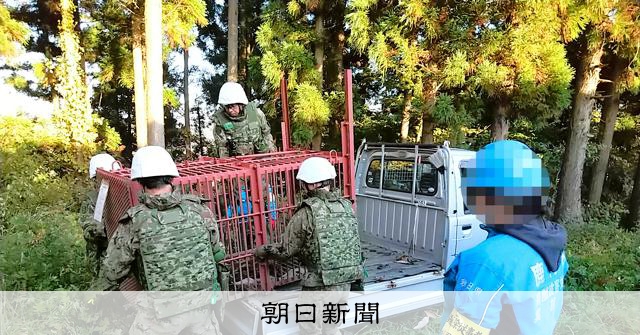 自衛隊がクマ対策開始、秋田でわな輸送　護身は「木銃」やスプレーで [秋田県] [相次ぐクマ被害]：朝日新聞
