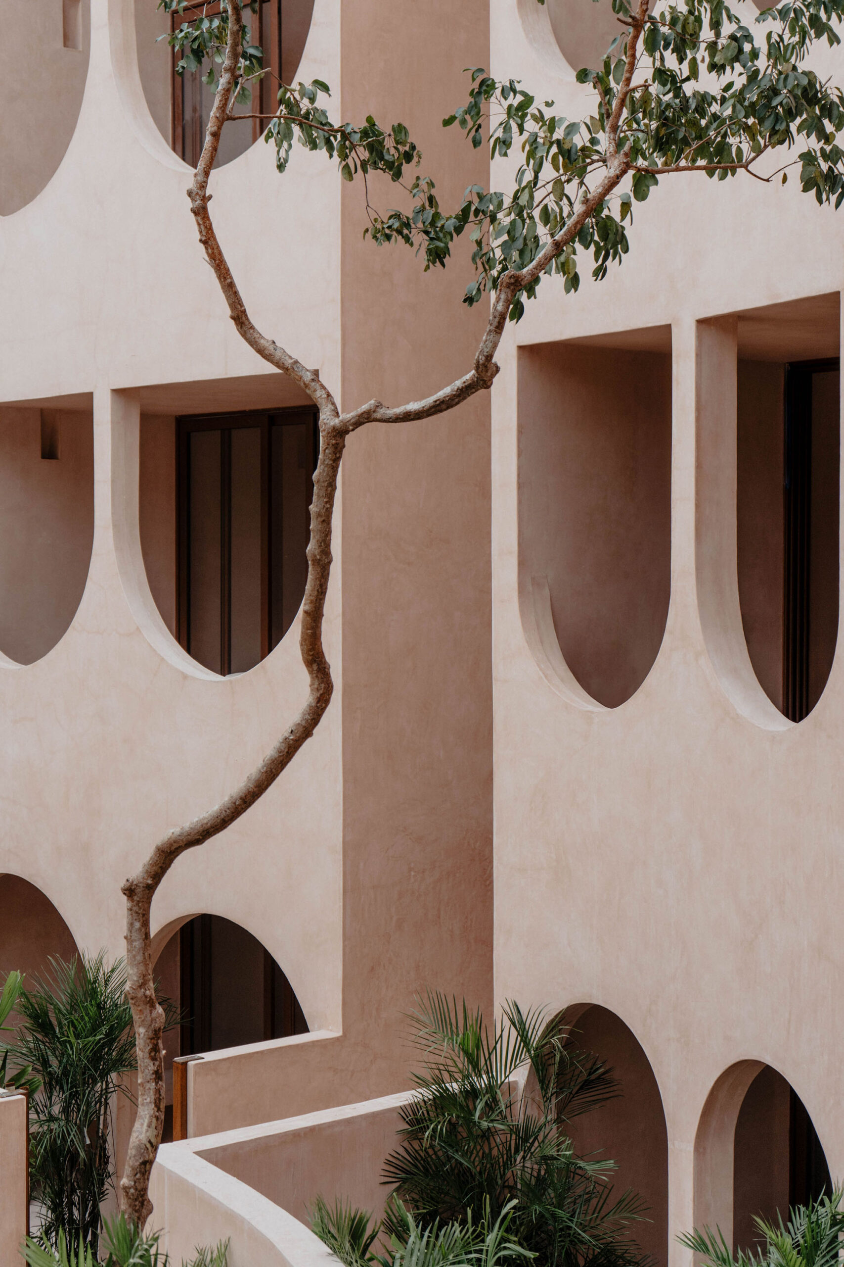 〈バベル（Babel）〉V Taller