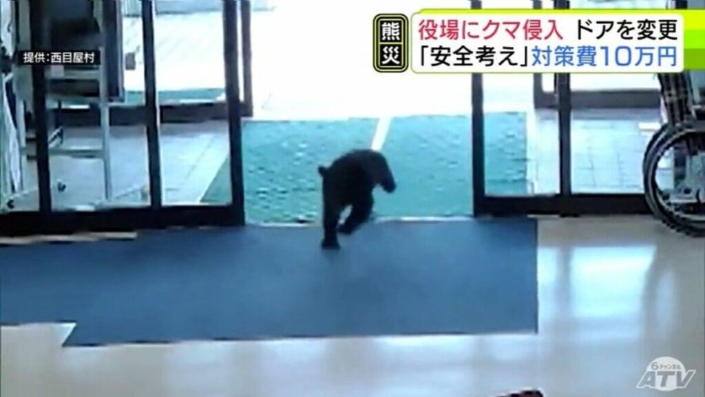 クマ侵入の役場 「センサー式の自動ドア」を「スイッチを押してドアが開くタイプ」に変更 対策を強化「村全体・村民の安全を考えながら取り組んでいきたい」青森県西目屋村【熊災】