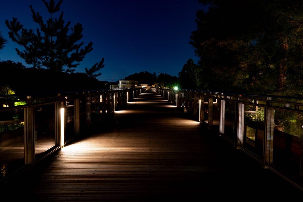 けいはんな記念公園　紅葉ライトアップ２０２５　橋の画像