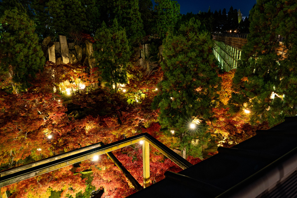 けいはんな記念公園　紅葉ライトアップ２０２５の画像２