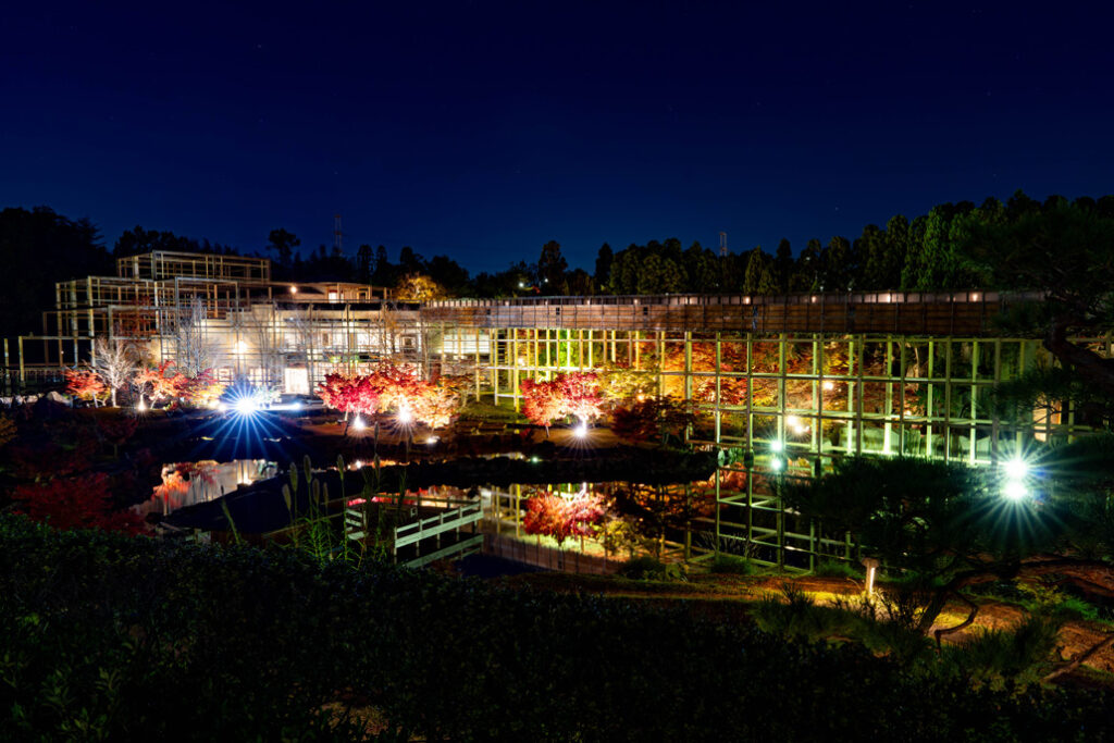 けいはんな記念公園　紅葉ライトアップ２０２５の画像５