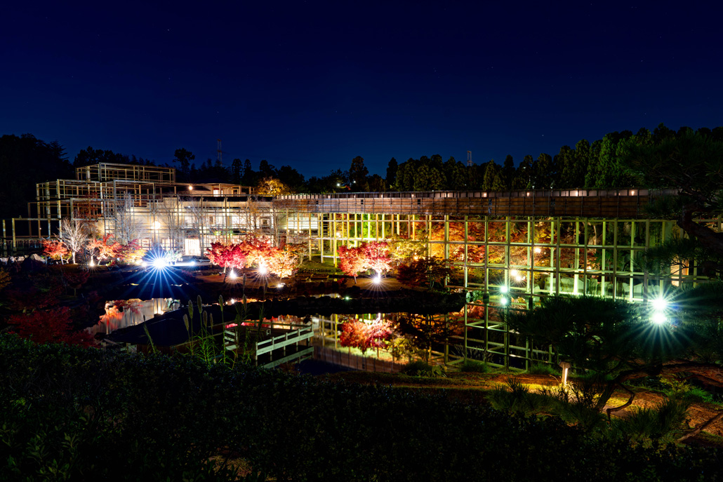 けいはんな記念公園　紅葉ライトアップ２０２５の画像１