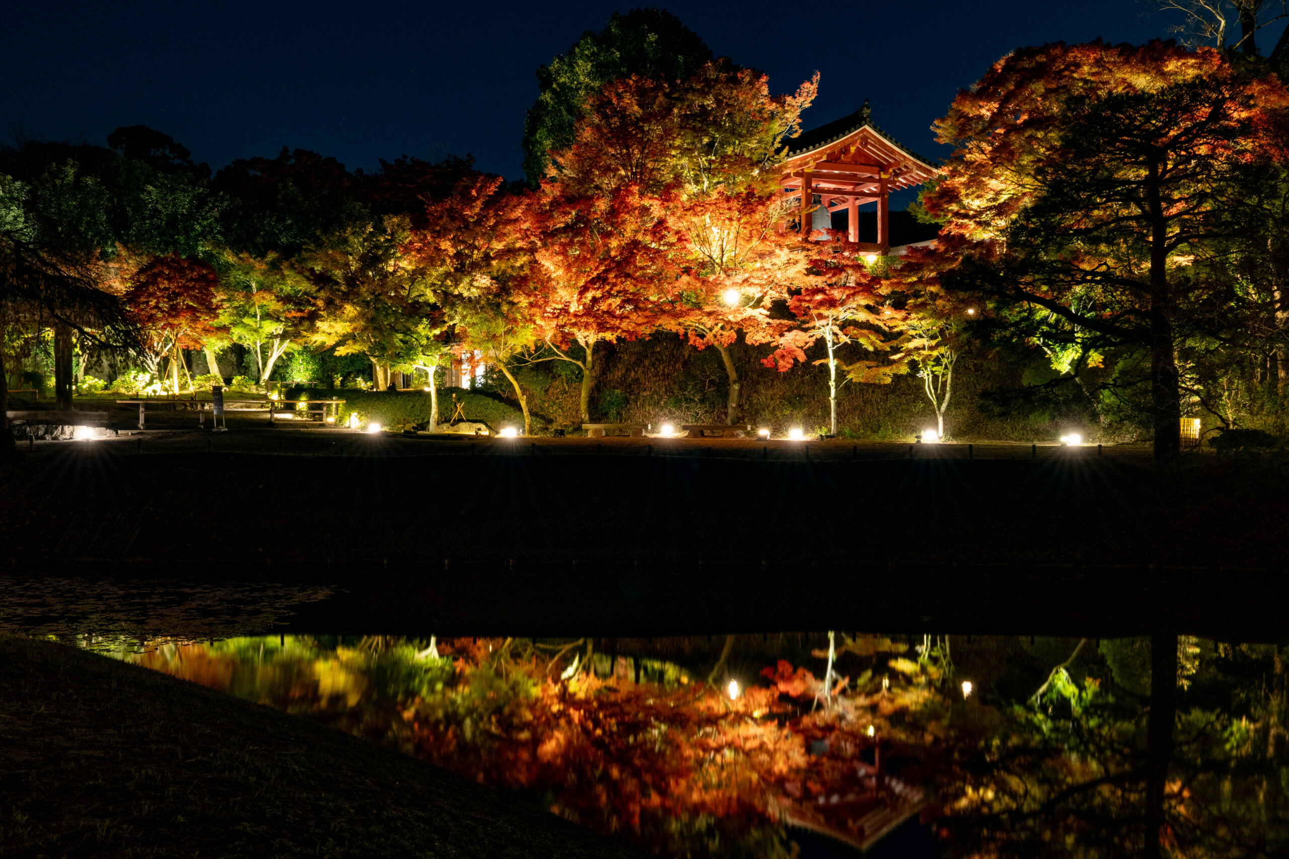 平等院　ライトアップ２０２５年の画像３