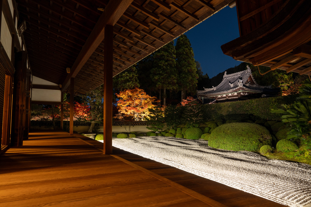 「一休寺紅葉ライトアップ 2025」美しい庭園の画像