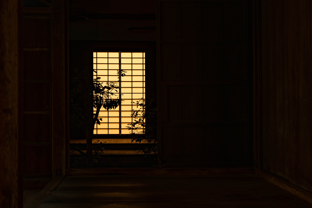 「一休寺紅葉ライトアップ 2025」温もりのある光の画像