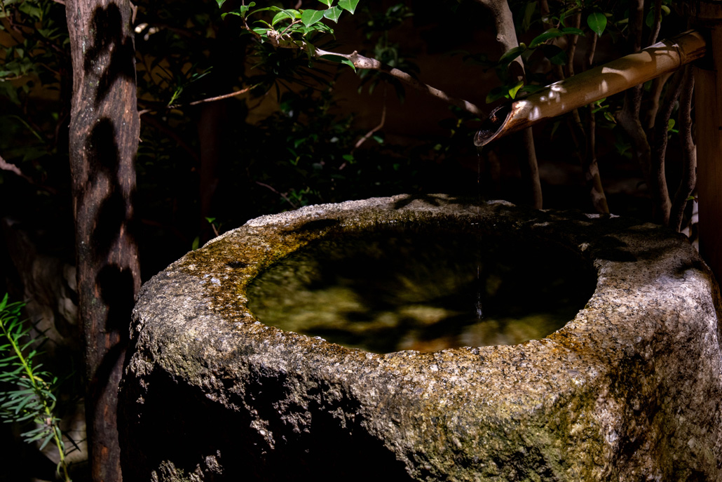 「一休寺紅葉ライトアップ 2025」心が安らぐ画像