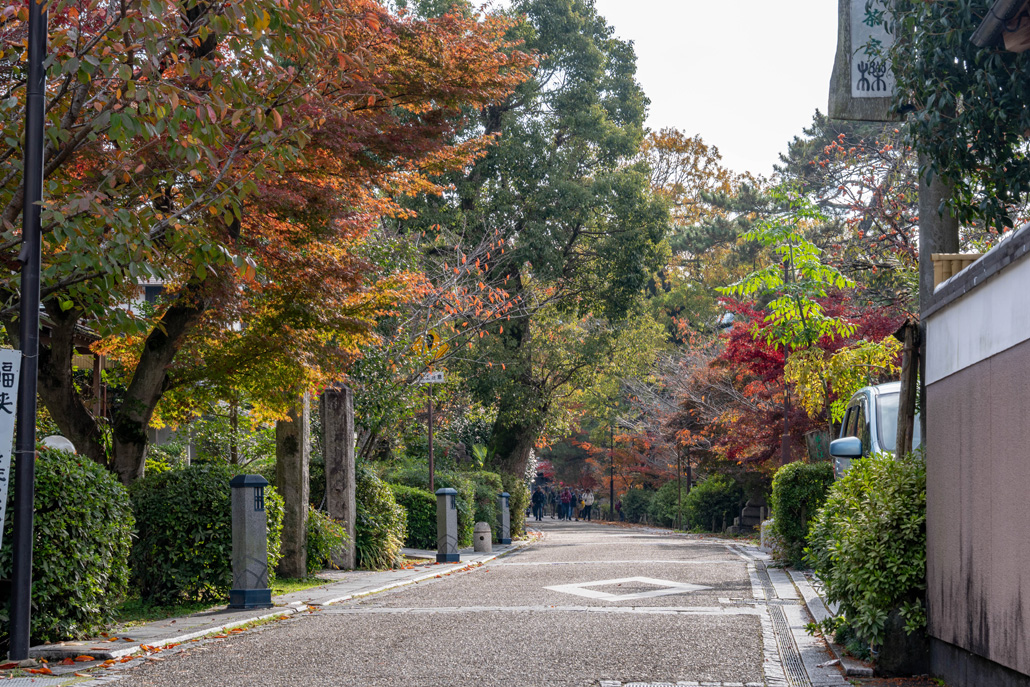 朝霧通りの画像