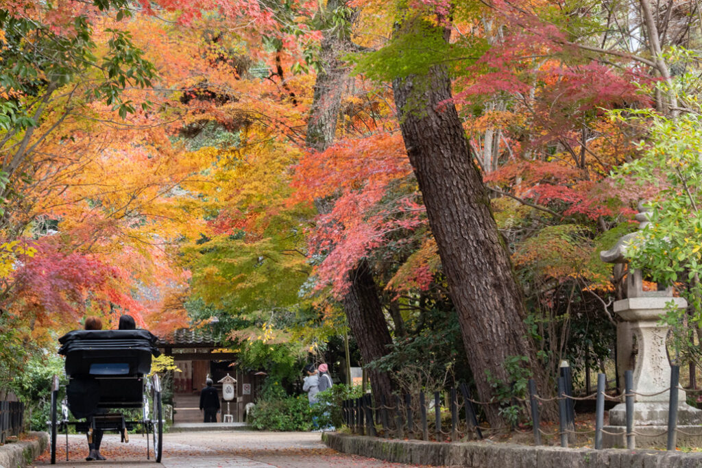 宇治上神社の参道の画像