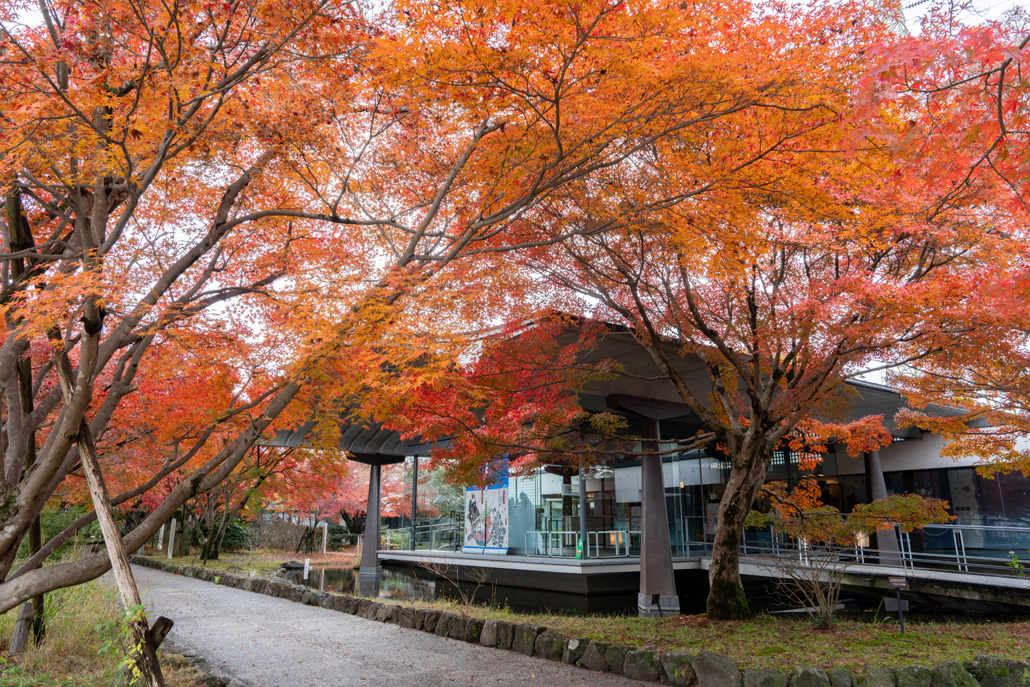 宇治市源氏物語ミュージアムの画像