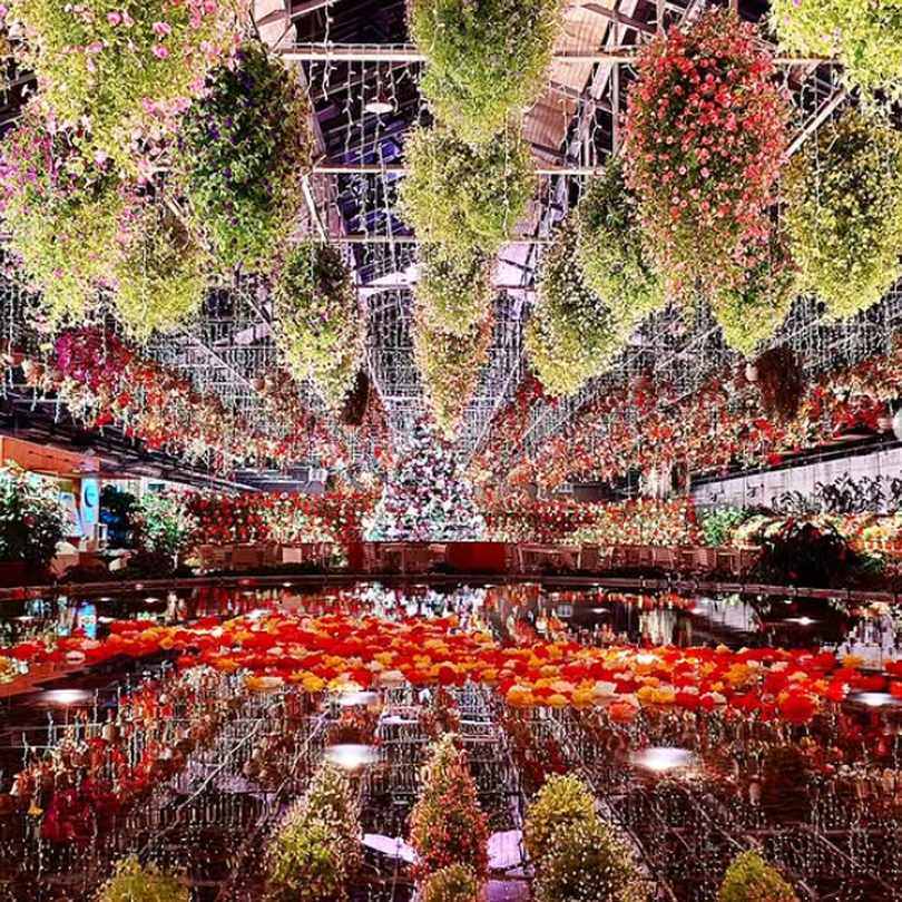 【三重 イルミネーション 2025-2026】 カップル必見！冬のロマンティックデートスポット8選 - DRESSY【公式】ウェディングドレス・ファッション・エンタメニュース