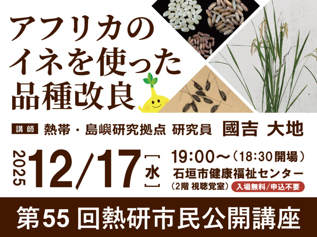 第55回熱研市民公開講座「アフリカのイネを使った品種改良」 | 国立研究開発法人 国際農林水産業研究センター | JIRCAS