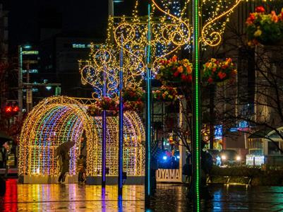 とやまスノーピアード2026　ホワイトイルミネーションとやま