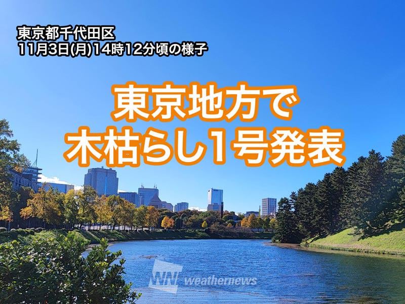 東京地方で木枯らし1号 昨年より4日早い発表