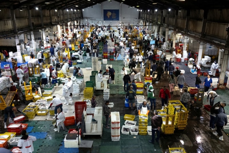 ブラジル、25年のGDP成長率予測を2.2%に下方修正