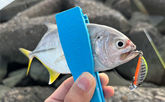 秋のメッキゲームで良型が入れ食い！【和歌山・南紀白浜】ミノー＆ボトムワインドに好反応