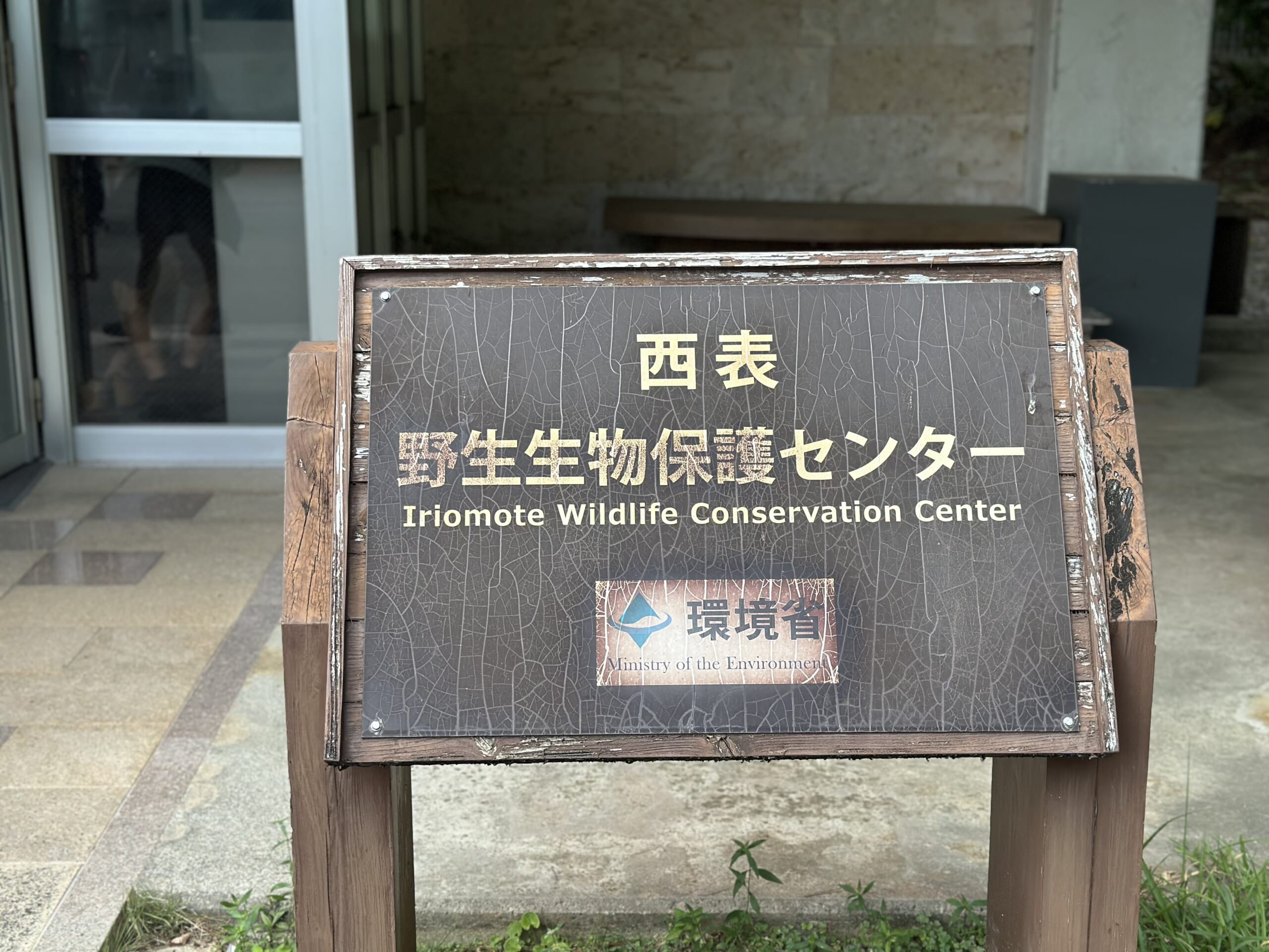 イリオモテヤマネコ　野生生物保護センター　環境省