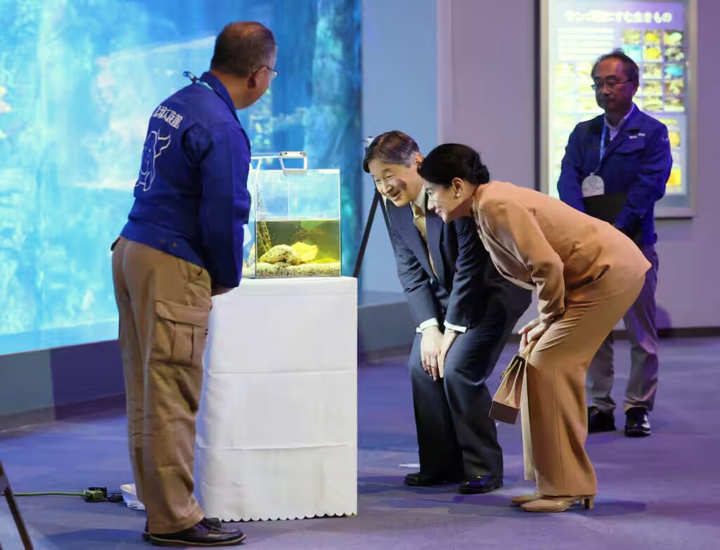 KJVC3SKGXJMGZPCUC5HCQSYBAI