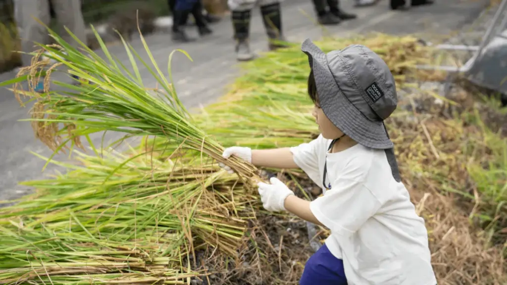 地域連携で進化する!和歌山のれんげ米稲刈りイベントの全貌 – サードニュース 地域連携で進化する!和歌山のれんげ米稲刈りイベントの全貌 - サードニュース