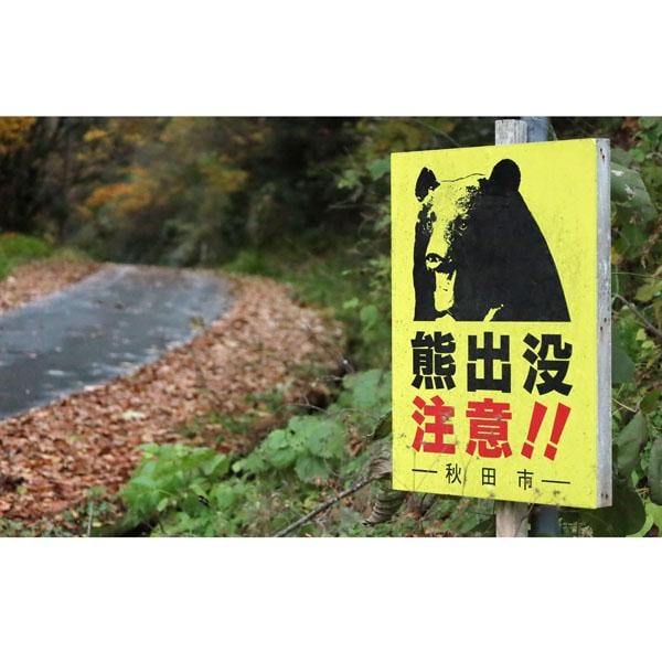 クマ対応に忙殺される自治体職員のもう一つの悩み…現場を疲弊させるクレーマーからの“無理難題”―「一頭も殺すな」「全滅させろ」