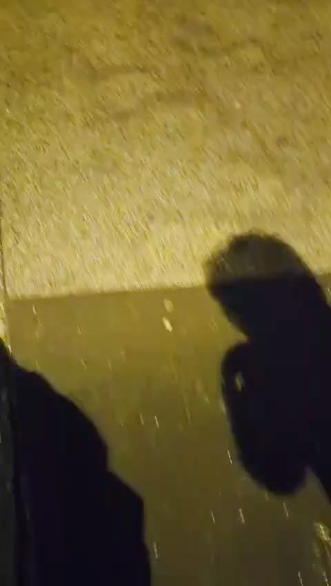 アンドラーシュ・ジャンボルが偽ビラの配布方法を動画で公開