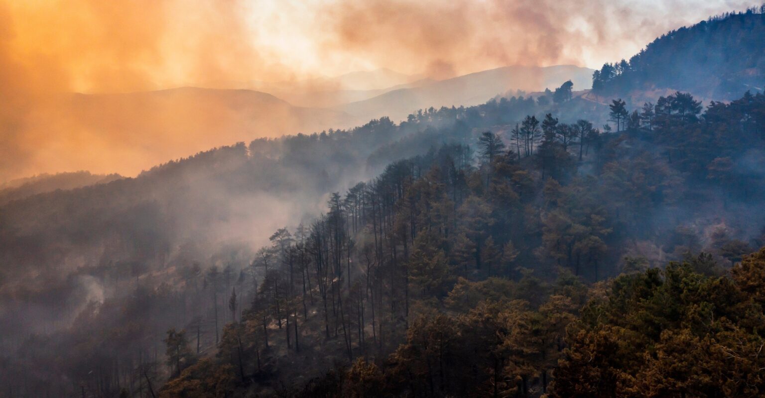 山火事マップスポットライトニュージーランド、トンガリロ国立公園火災