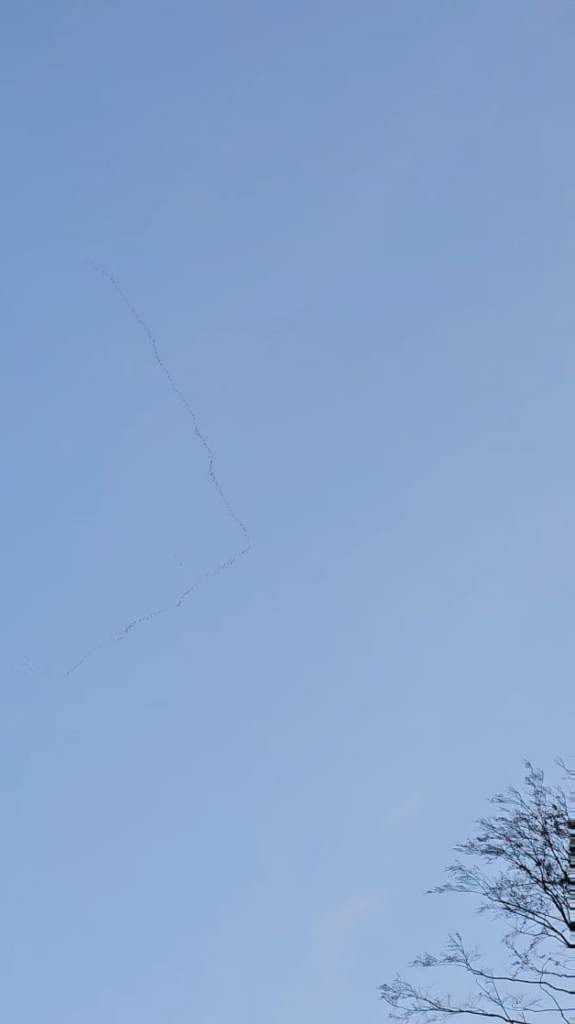 最近仕事中に面白い現象が起こりました