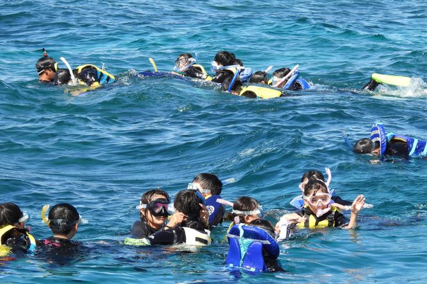 鳥取児童ら国頭の自然満喫　岩美から１２人　マリン体験、パイン収穫も