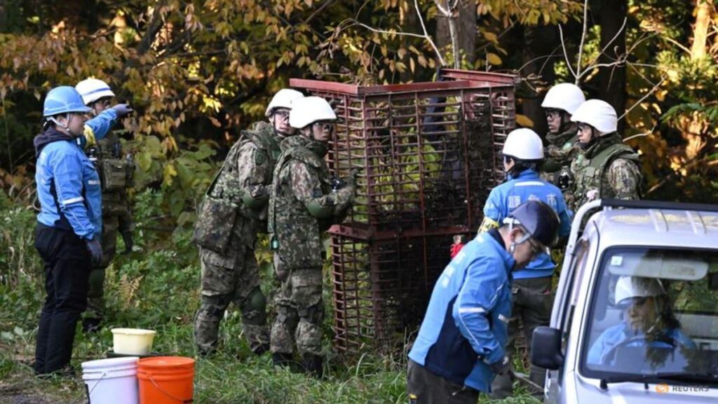 日本、クマの駆除に退役警察官や兵士らを動員へ
