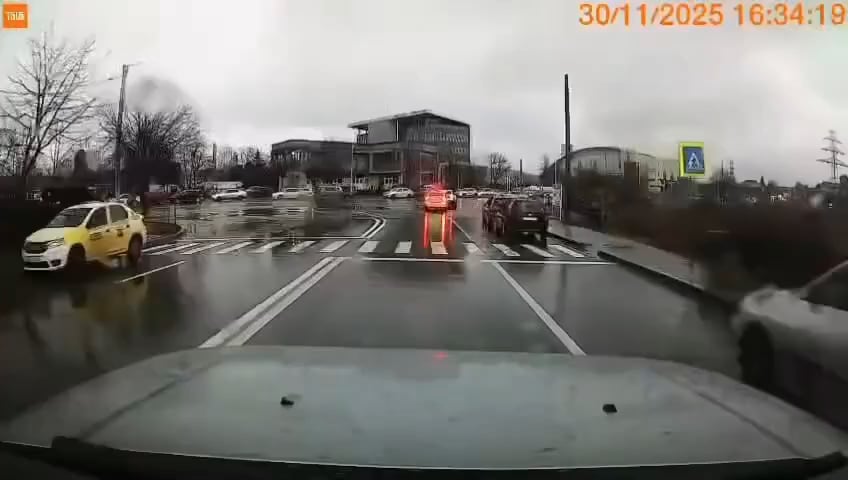 ヤシの交通事故