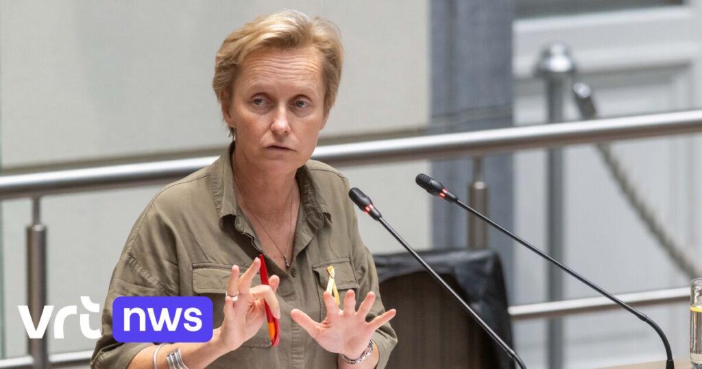 フランダースのデ・リッダー大臣は、地方セクションのチェックにおける民間企業との協力を排除したいと考えています。 VRT NWS: ニュース