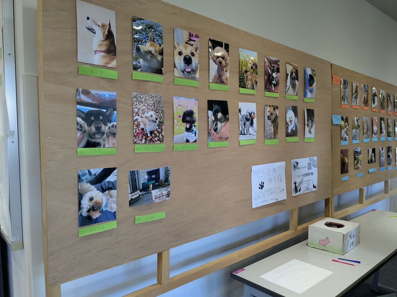 ゆめいこい祭　飼い犬写真