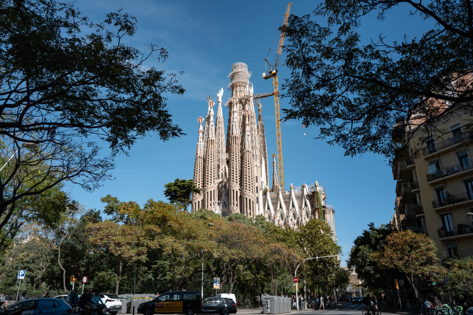 バルセロナの市場で出会う日常 スペインのトルティーヤを味わう - NewSphere | Signpost